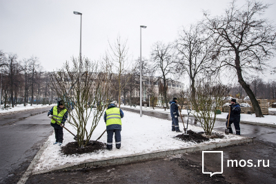 :  2017     40 .   308 .  