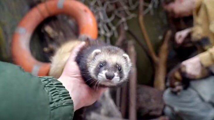 ������� ������ ������� ���������� � ���������� ��������