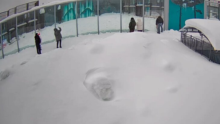 ���������� �������� � ����� ������� ��������� ����� �������� ����������