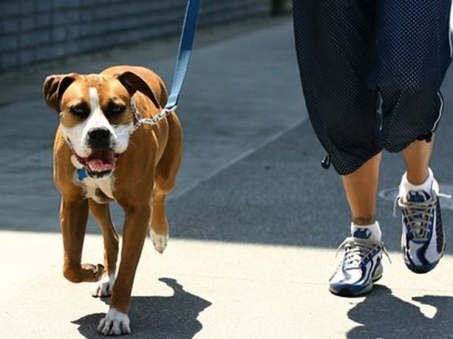 � ������ ����� ���������� �������� � ������������ � �������� ������ �����