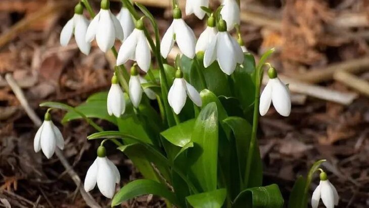 ��� �������� ������������ �������� � "����������� �������"