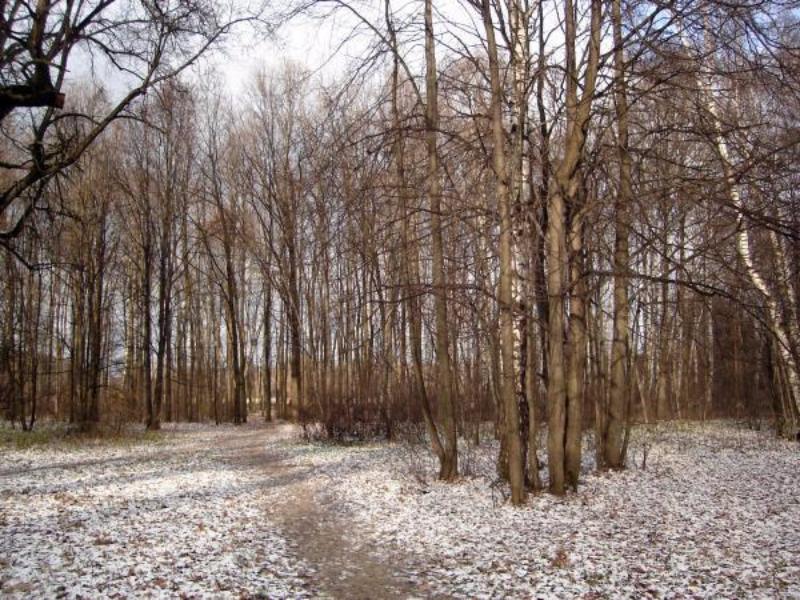 �� ������� ������ ��������� ����� ���������� �����