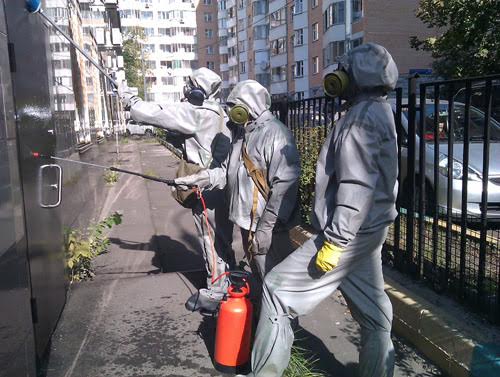 � ������������ ������ ���������� �� ��������������� ������ � ������ ����� �� ���������� ��