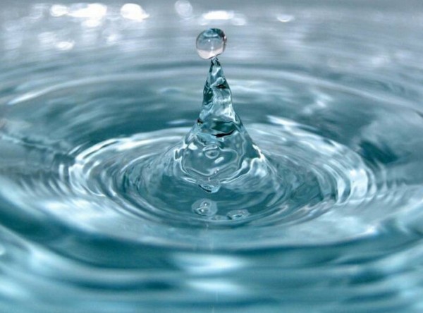 ������������ ���������� �� ���������� ����