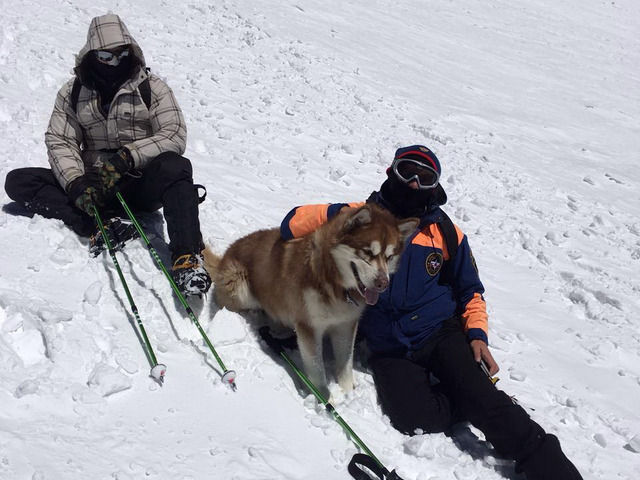 ������ ����������� ���������� ���������� ��������� ��������-������������ ������, ���������� �������