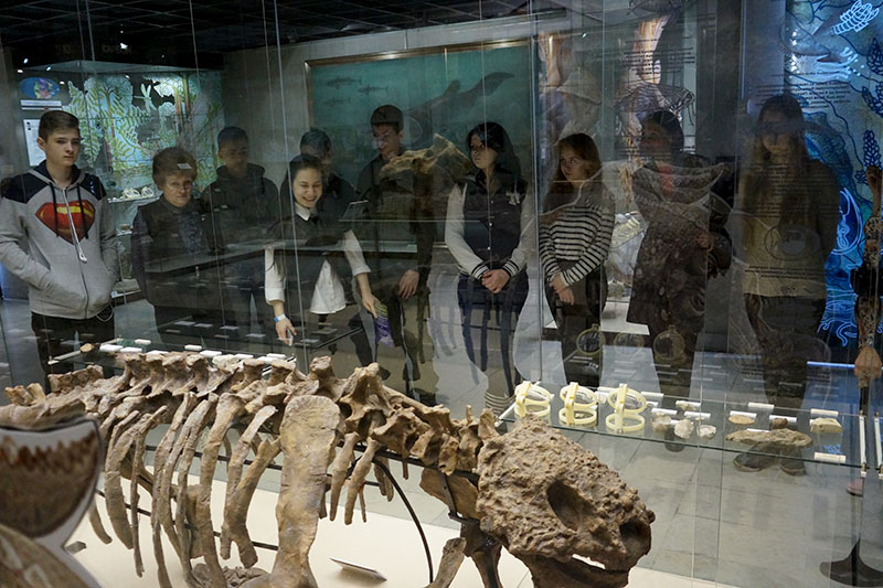 ��������� �� ���������������� ������ �������� �� ��������� � ������������ �����