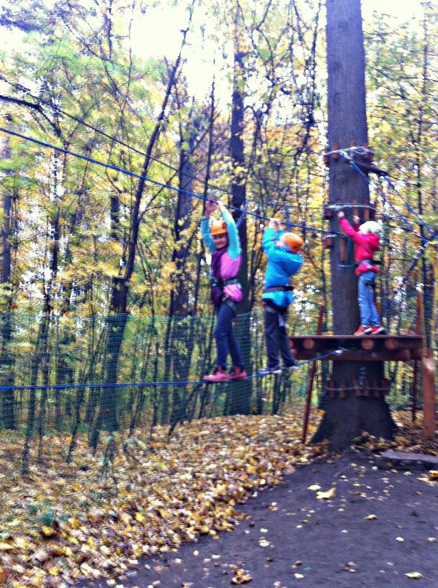 ������ �� ������������ ������� ���� �� ���� ������� � "����������"