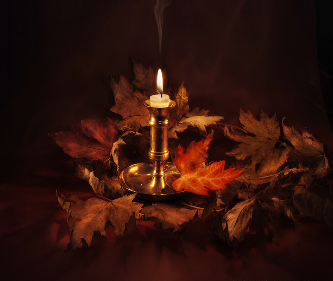 � ��������������� ������ ������ �����������-����������� ��� "���� ������ �������"