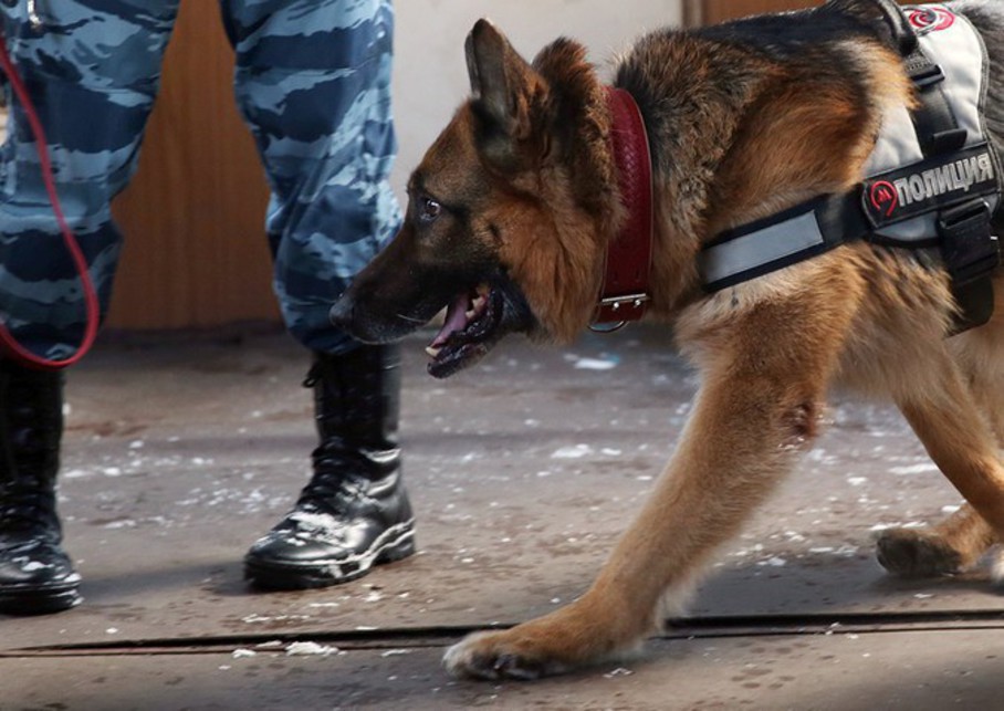 ��������� �� ������� ������ ��������� �������� �� ���, ��� �������