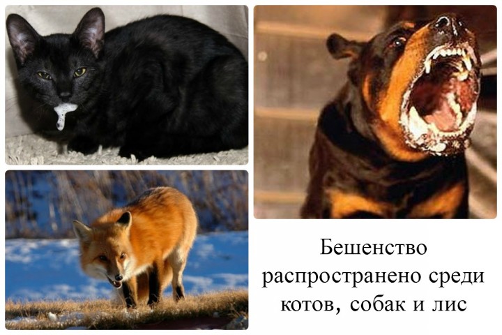 � ���������� � ������������� ������ �������� ���������� �������� �� ��������� 