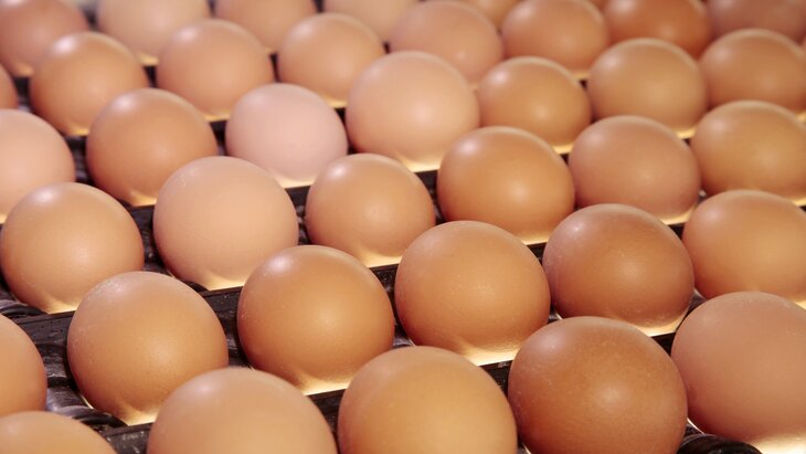 ��������� ���������� �������������� ������� ���� � ���