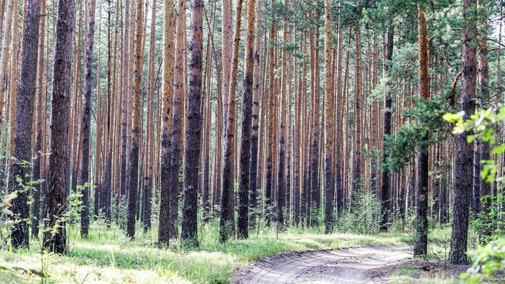 ��������� ����� ����������� ���������� �� 3 ����