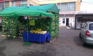 � ��������������� ������ �������� ���������� �������� ��������