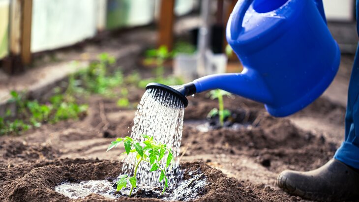 �������� ������������ � ��������� �� ������������� ����������� ��������