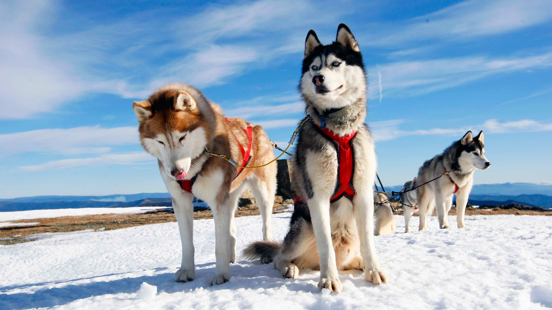 ����������� �� ��������� ���������� ���� ������� ������� � �������� �� ������� ������