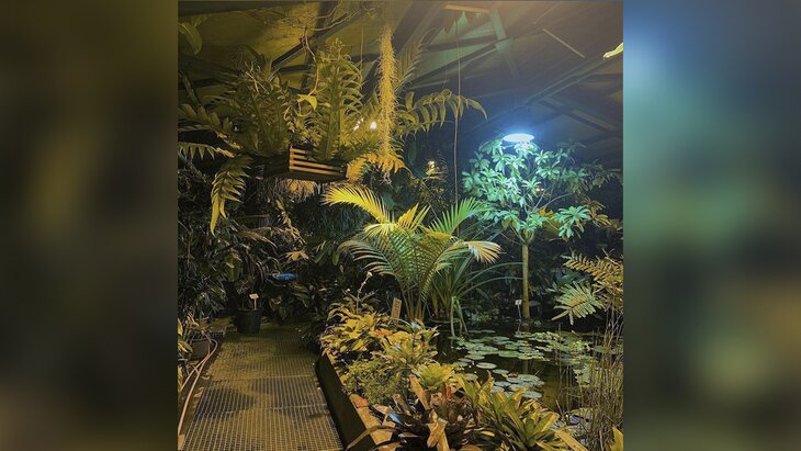 �������� ��������� �� ������ � ��������� ���������� � "����������� �������"