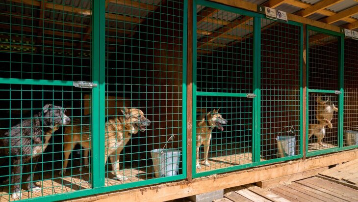 � ������� �� ���������� ������ �� ����������� �������� � �������