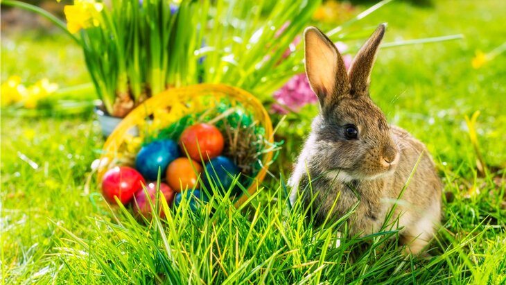 ����������� ���������, ������ ������ ���������� ������ � ������ �� �� "���"