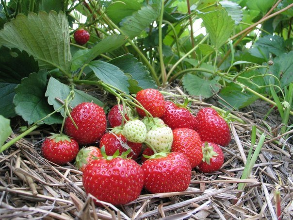 ������� �������� ��� ���� � ������ ��� �������� ������ � ������� ����� ������