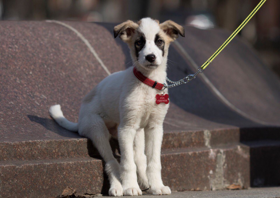 �������� ����� ����� ����� ������� � ��������� ������ 22 ������