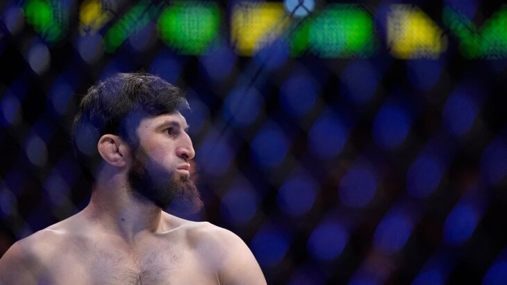 ��������� �������� �������� ����������� ����� UFC � ����������� ����