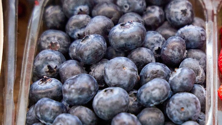 ���� ����������, ����� ����� �������� �������� �� ���������