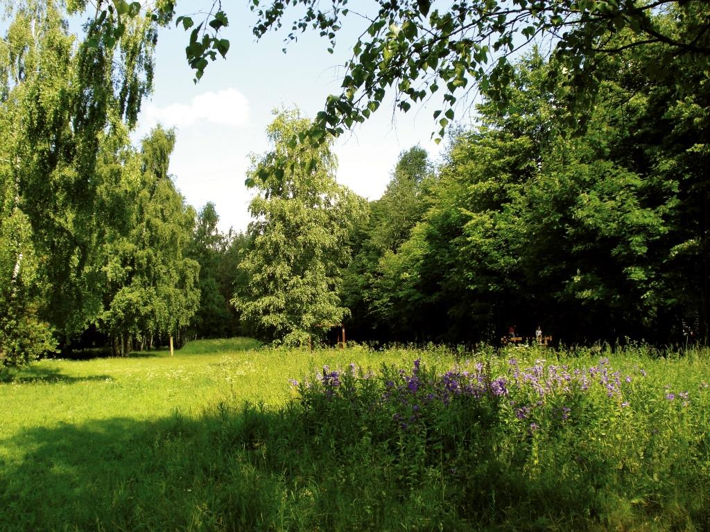 ���������� ��������� ��������� ���������� �� ���������