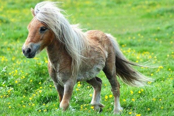 � ������ "���������" ��������� ������ �� ����