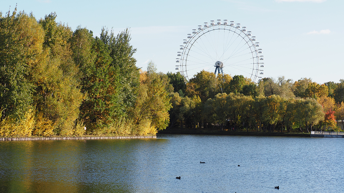 ����� ����� ��������� �� ���������� ������ ����������� � ������