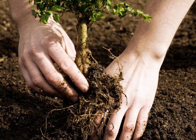 ������� "������� ��������" ������ � ������������ ����� ������ � ���� ���������� �������