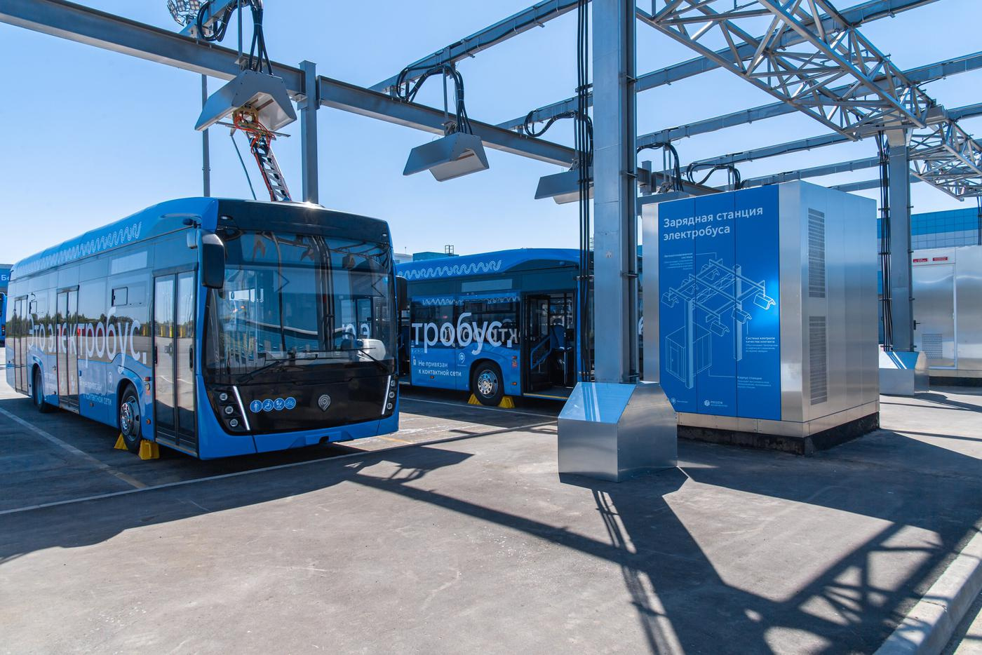 �����-���������: ������� �������������