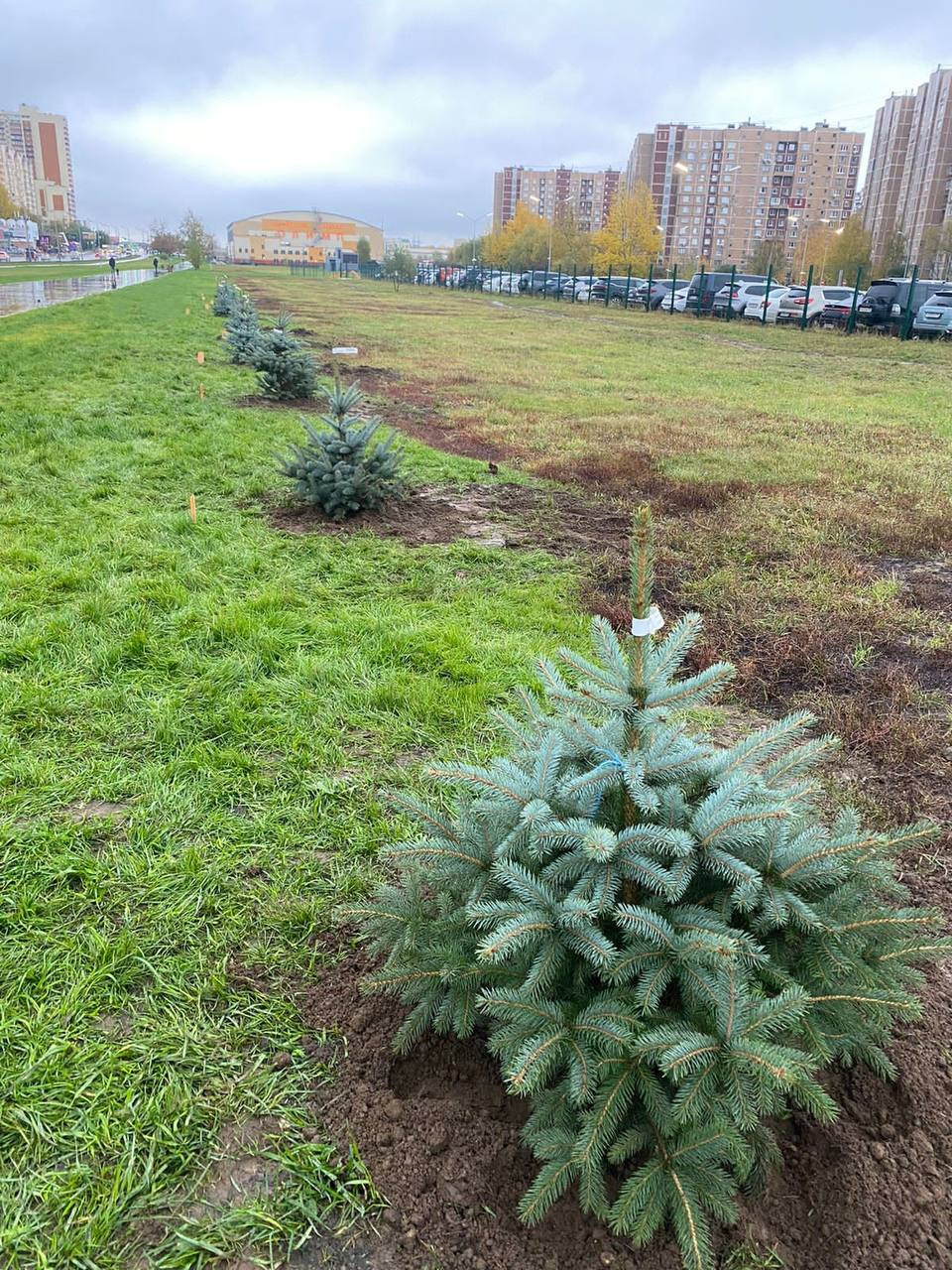 � ���������� ������� "����� ������"