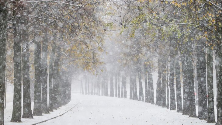 � ���� ������� �� ��������� ������� ������� � �����