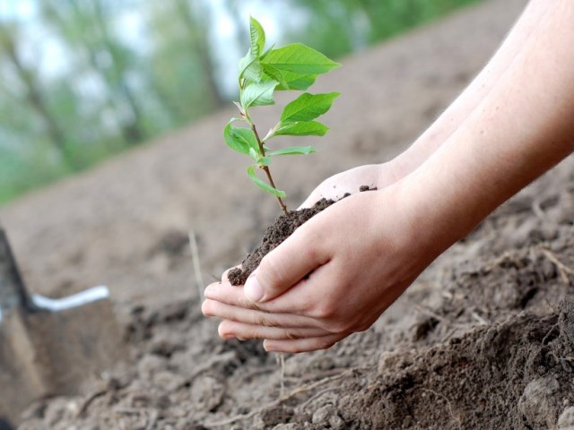 � ������ ���������� ���������� ���������� �� ��������� "��� �����"