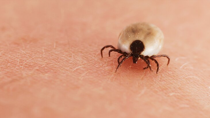 ����� 18 ��� ������� ���������� � ������������� ��-�� ������ ������