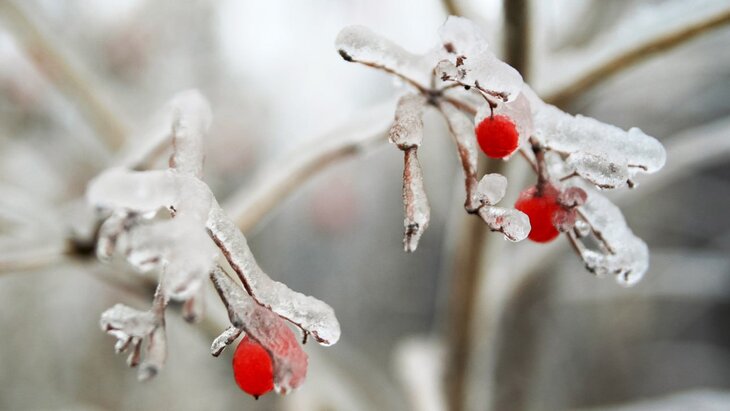 ������� ����� ��������� � ������ � ����� ������ ��-�� ����������