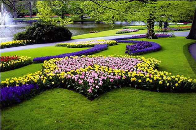 � ��� ���������� �� ������������� ���� ������������ ������ � ������ ������� 