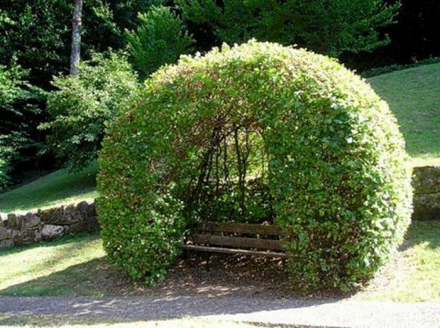 � ��������������� ������� ������� 250 ����������� � ��������� ��� ������� �������