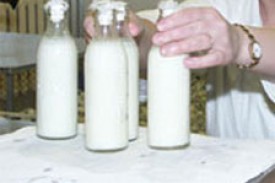 Произошли изменения в работе молочно-раздаточных пунктов