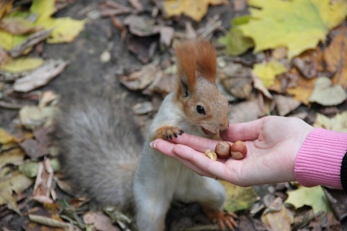 �����-�������� � ����� �������� ����� ����� �������� ����� ������� ������