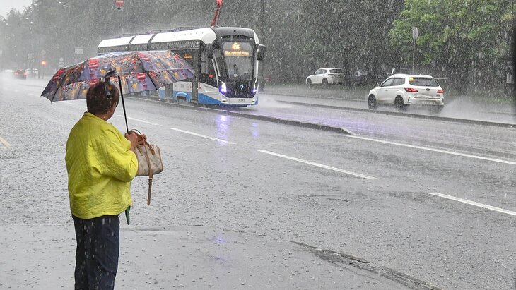 �������� ����������� � ��������� ������ � ������ � ������ � �����������