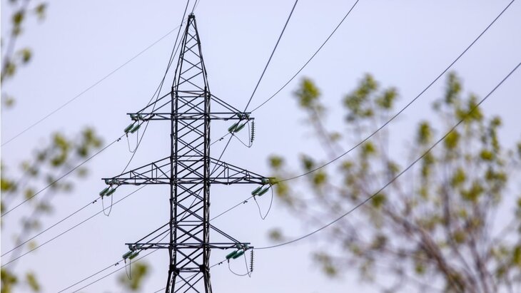 ���������� ������������� �� ������� ����� ����� ��������� 20 ����� � �����