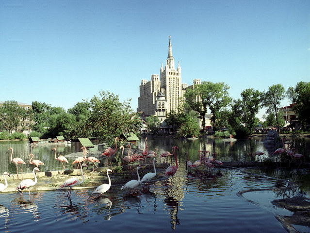 ���������� ������� ������� ������ ������