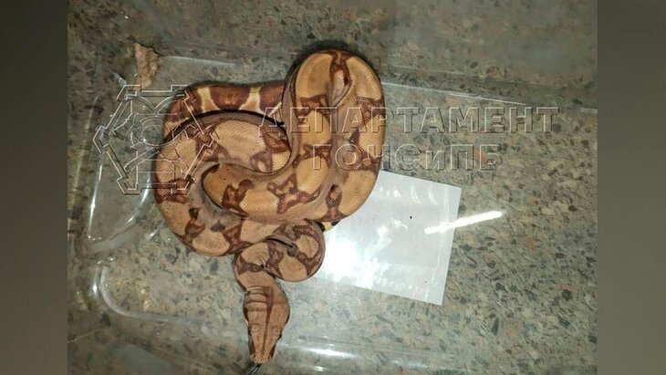 ��������� ������� �������������� ����� � ����� �� �������� ������