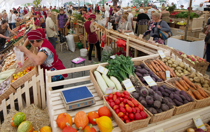 ������ ������� ��������� ���������� ����������������� ������������ �������