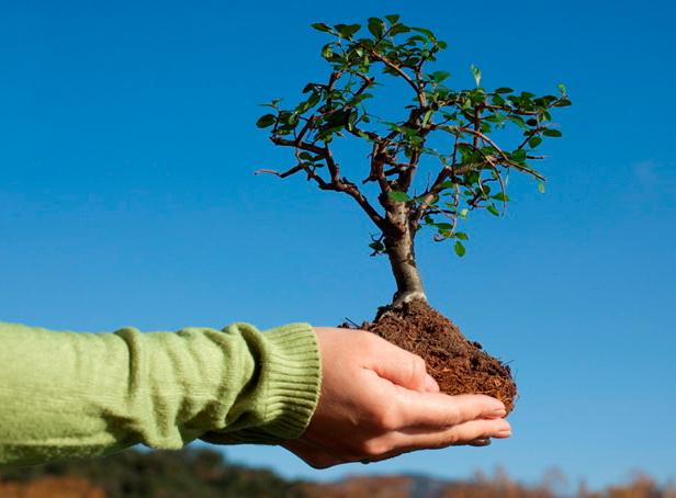 ������ ������������ �����, ����� �� �� ������ �������������� ���������� � 2017 ����