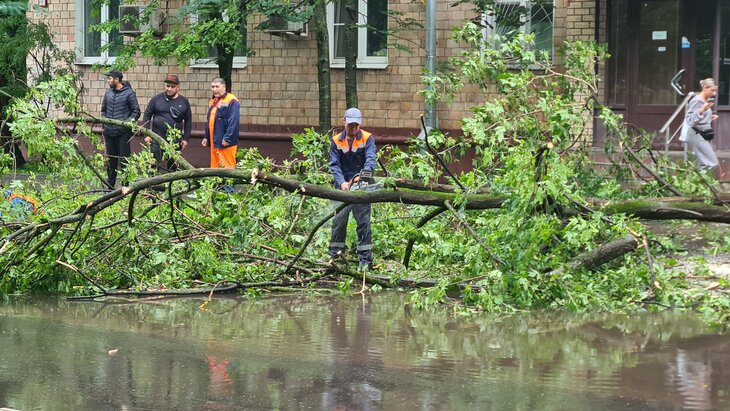 ��� �������� ������� � ���������� ������� � ������