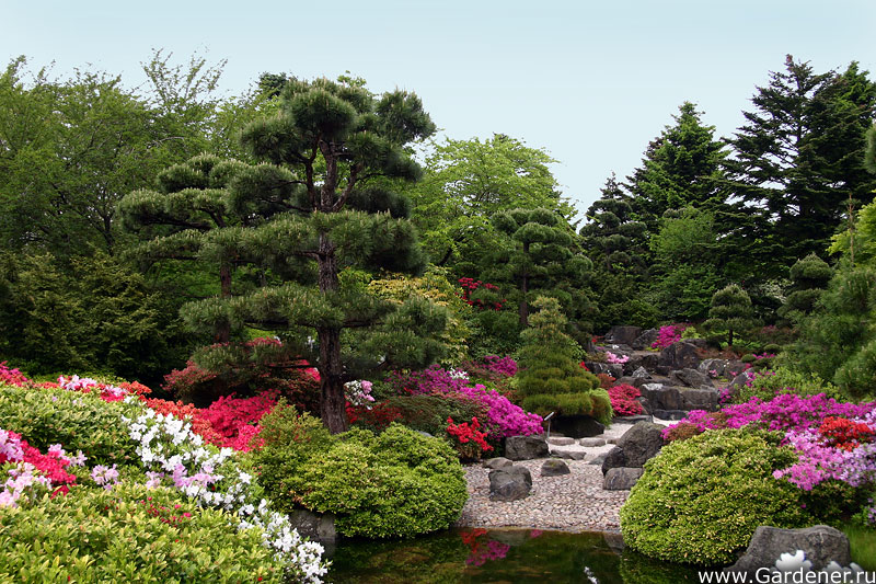 � ������������ ��� ������ "������������" � ���� 110 ��������� ������ ��� ��������� ������� ���������������