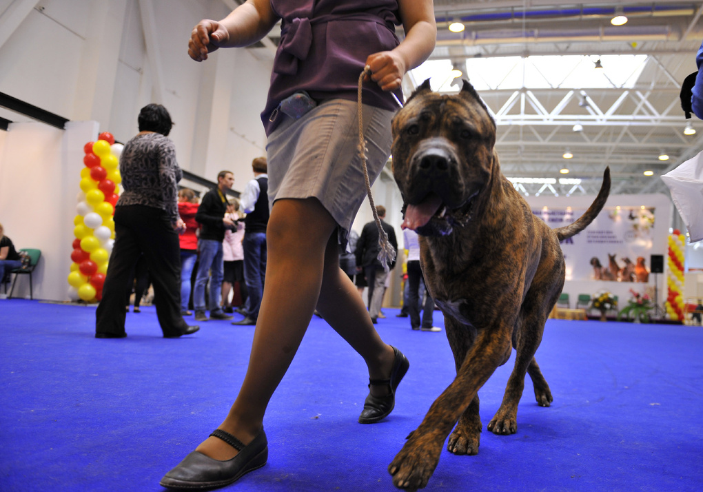 �� ������� ������ ������� ������������� �������� �����