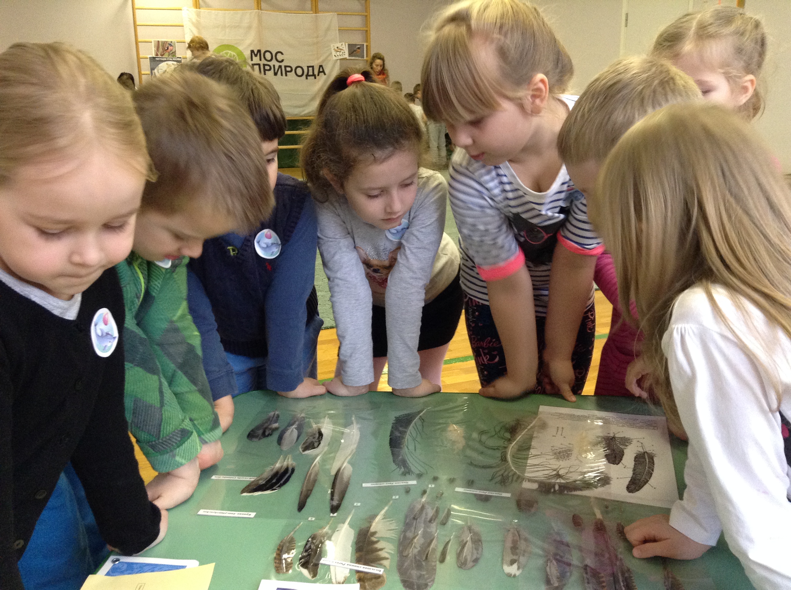 ��� ����� ������� ����������� �� "��� ����" 